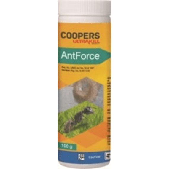 coopers ultrakill ant force indoor picture 2