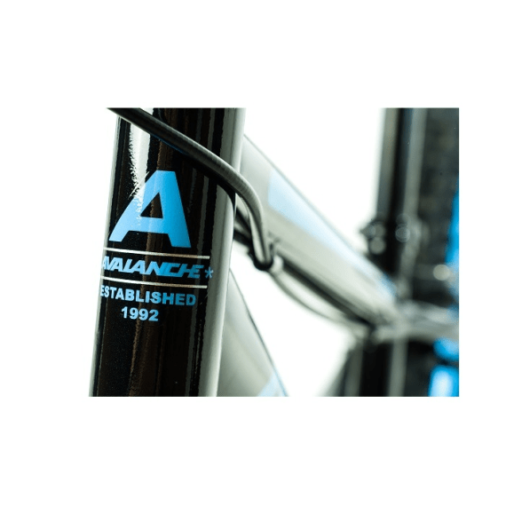 avalanche antix 20 bicycle blue picture 4