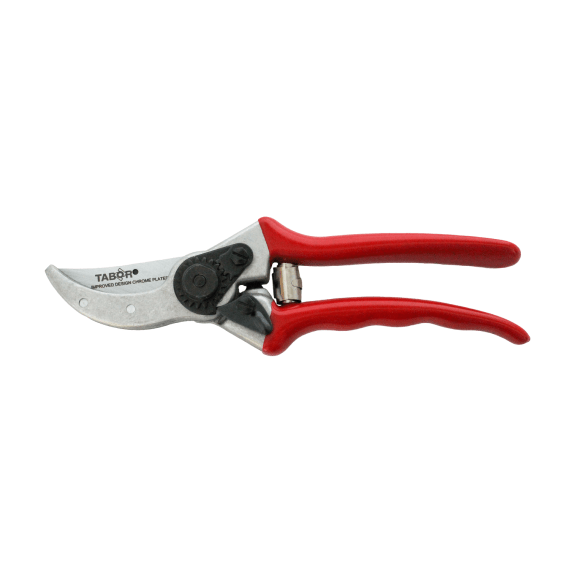 tabor pruner s3 picture 2