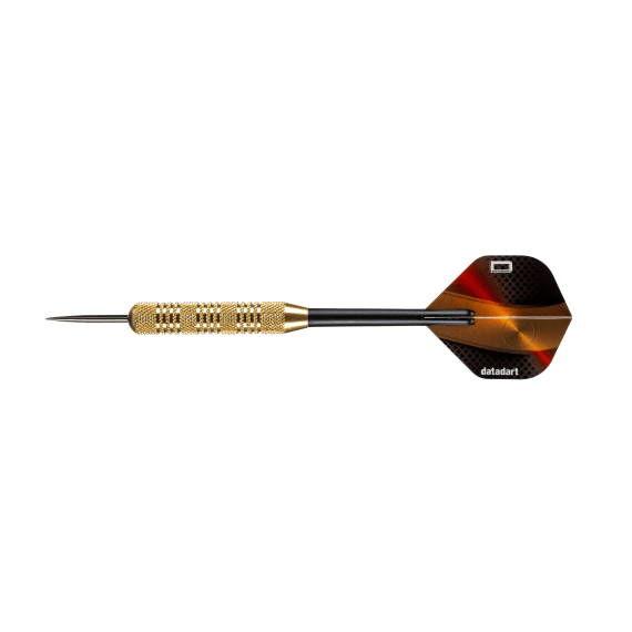 datadart butt brass darts picture 3