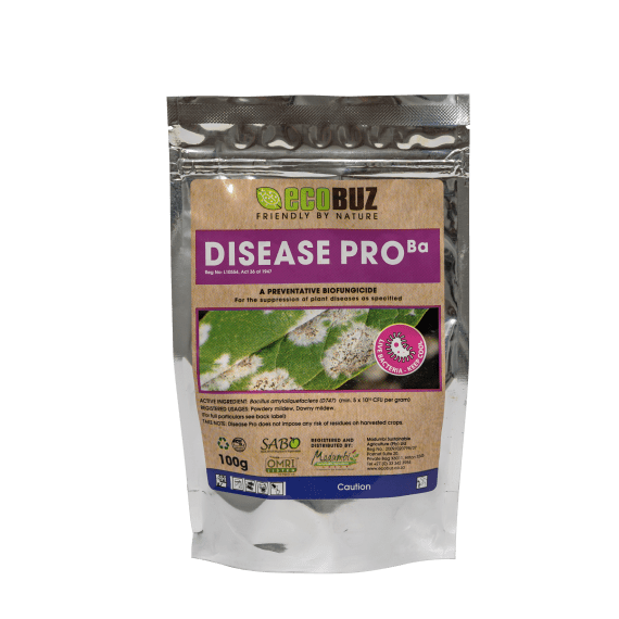 ecobuz disease pro doy pack 100g picture 1