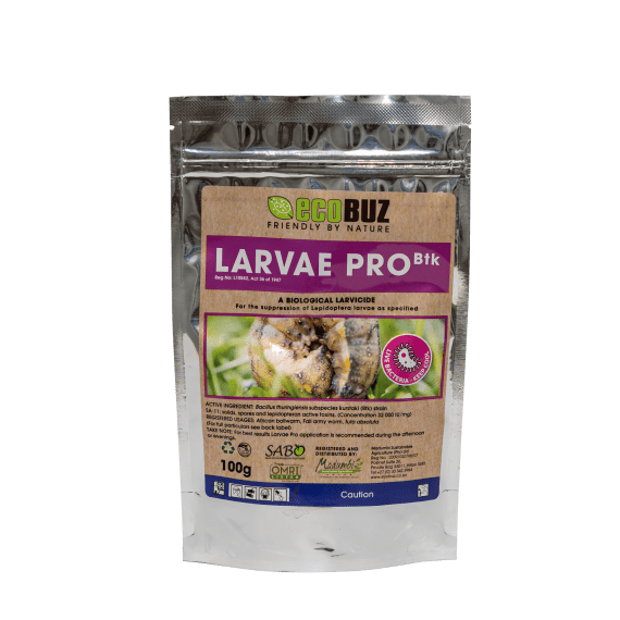 ecobuz larvae pro doy pack 100g picture 1