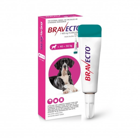 bravecto spot on dog xl 1400 mg 40 56kg picture 1