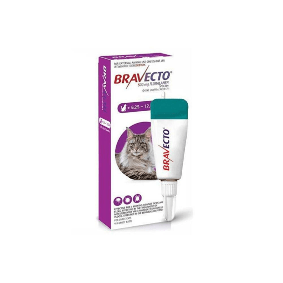 bravecto spot on cat sm 500mg 6 5 12 5kg picture 1