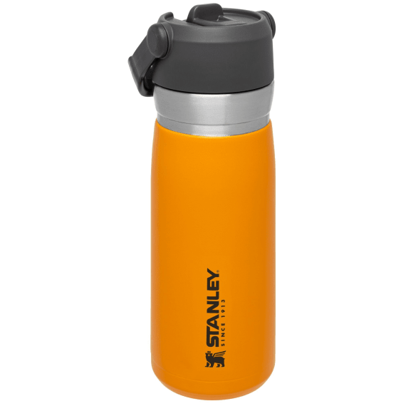 stanley iceflow water bottle 650ml gold picture 1