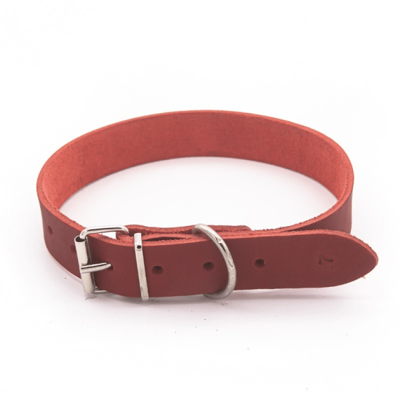 woofer heavy duty leather dog collar 30mm x 650mm picture 1