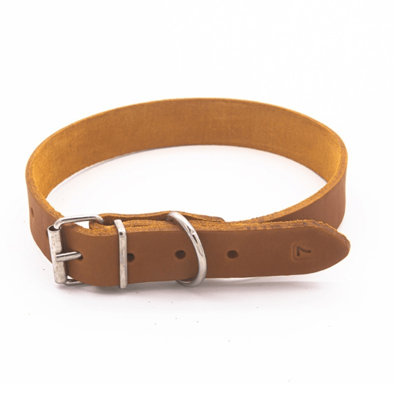 woofer heavy duty leather dog collar 30mm x 650mm picture 2