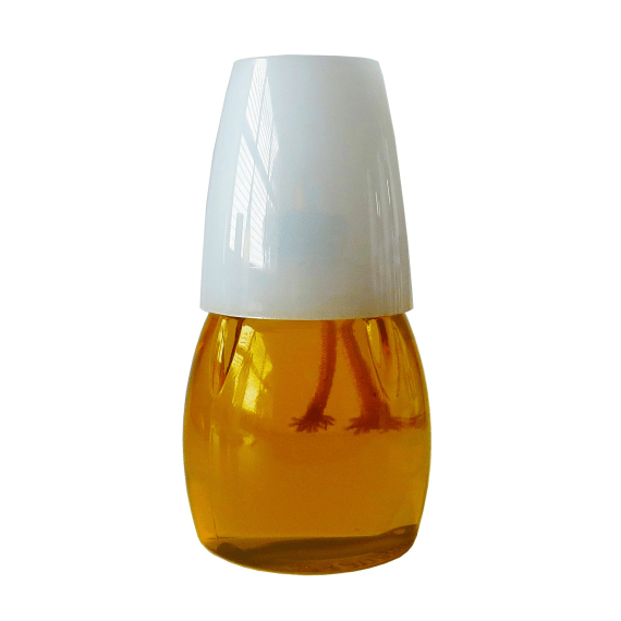 delights citronella oil lamp picture 1