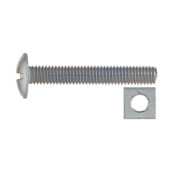 ruwag gutter bolt and nut picture 1