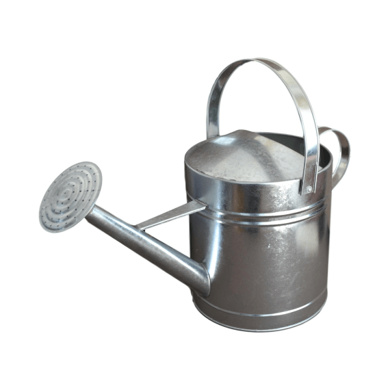 jg watering can galvanised 10l picture 1