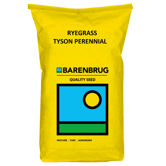 barenbrug tyson perennial ryegrass 25kg picture 1