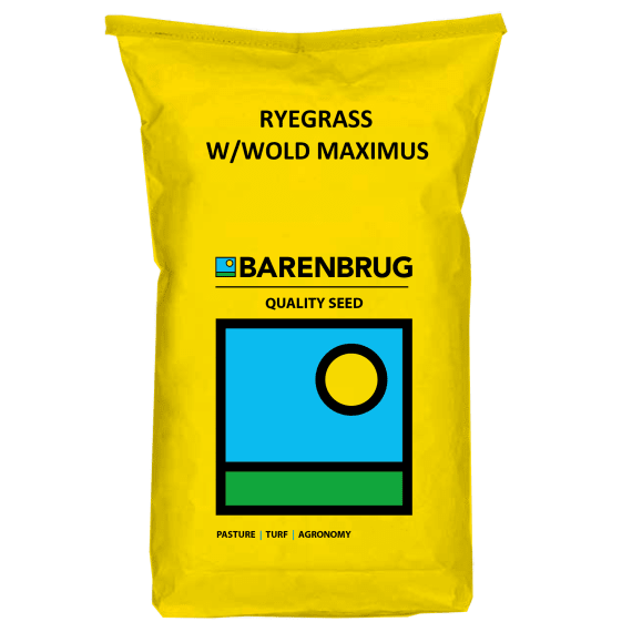 barenbrug maximus westerwold ryegrass 25kg picture 1