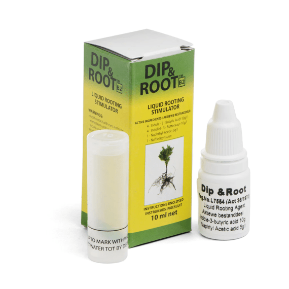 dip root 10ml picture 1