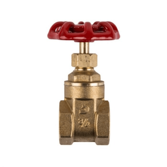 gate valve 50mm brass picture 1