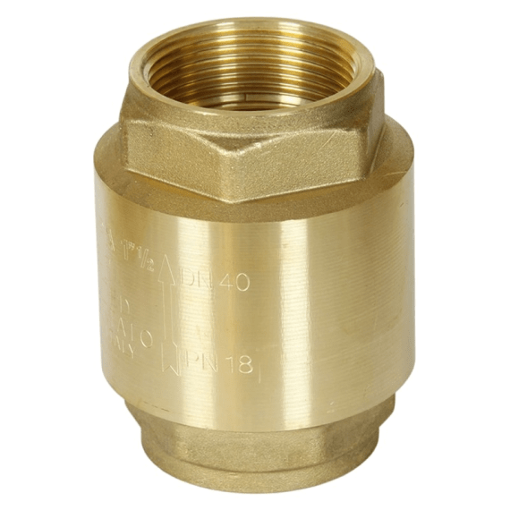 check valve brass spring picture 1
