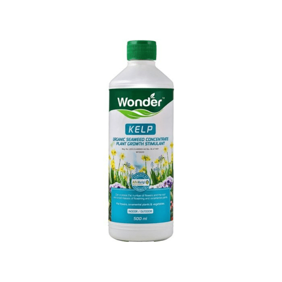 wonder kelp 500ml picture 1