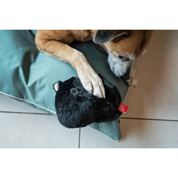 dog s life surprise toy the black cat picture 3