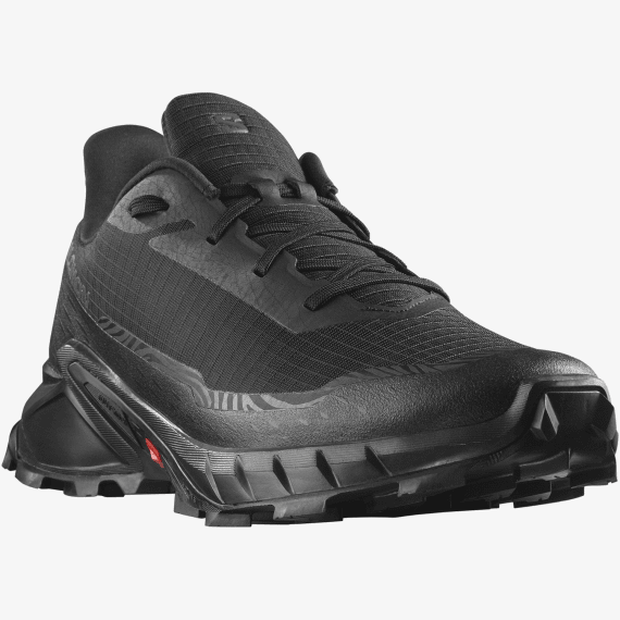 salomon men s alphacross 5 picture 2