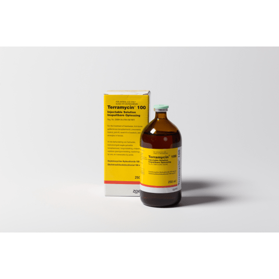 zoetis terramycin 100 injectable 250ml picture 1