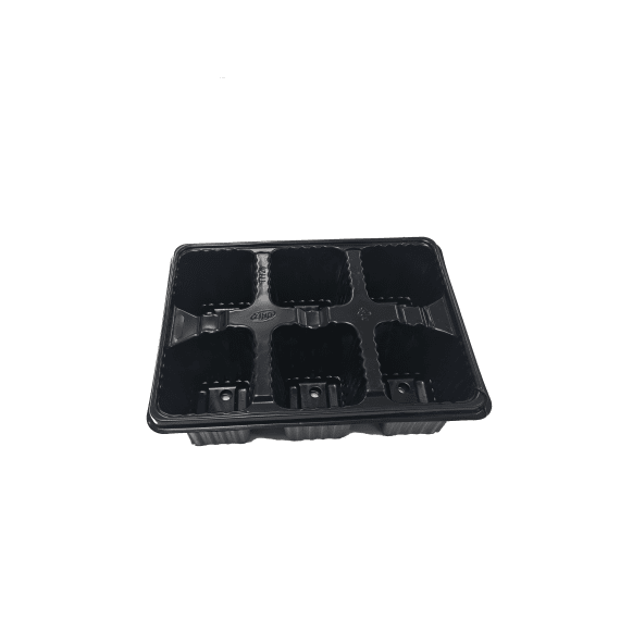 kirchhoffs grow tray 6 cell 185x140x50 picture 1