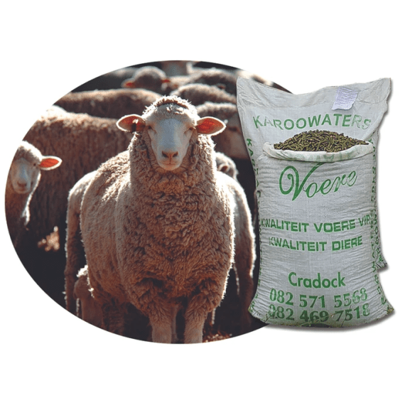 karoowaters sheep finishing pellets 50kg picture 1