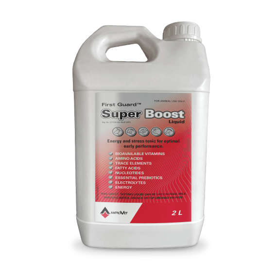 First Guard Super Boost 1 Litre