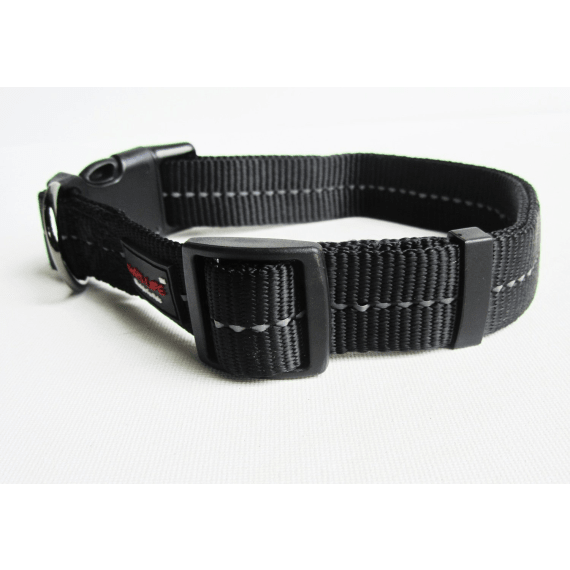 dog s life web collar picture 1