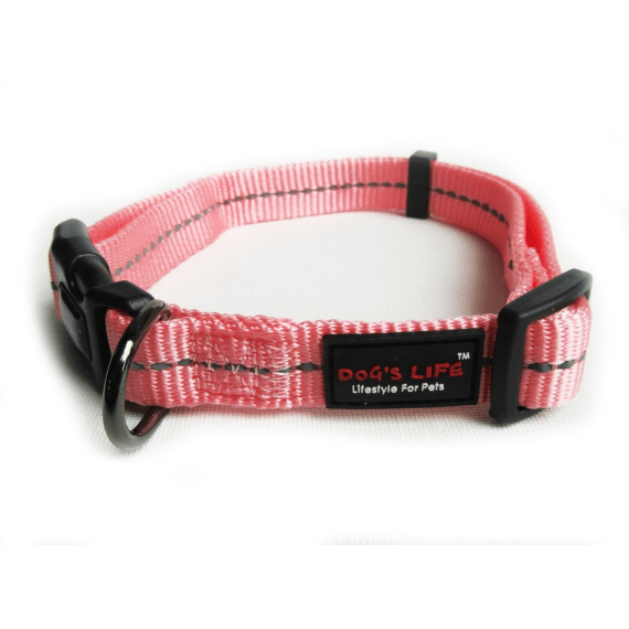 dog s life web collar picture 4