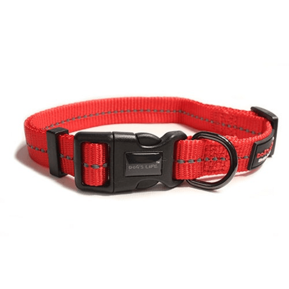 dog s life web collar picture 2