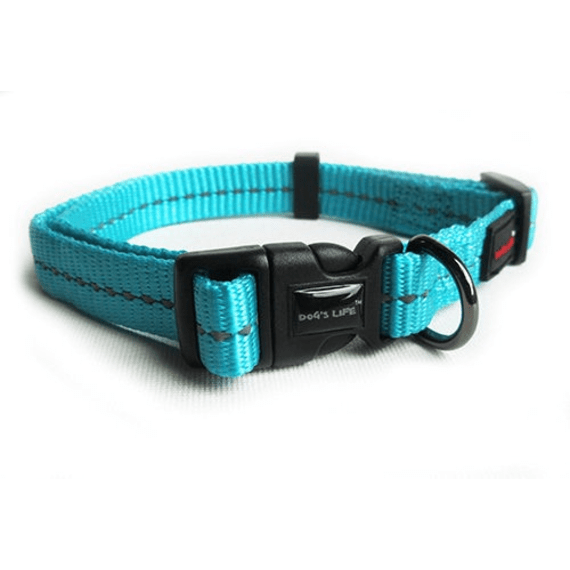dog s life web collar picture 6