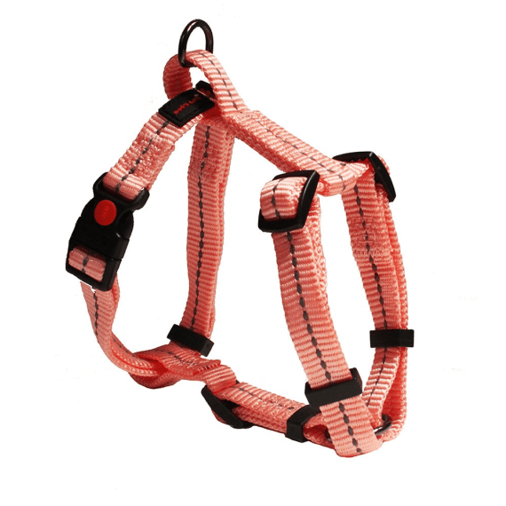 dog s life web harness black l picture 5