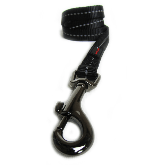 dog s life web leash picture 5