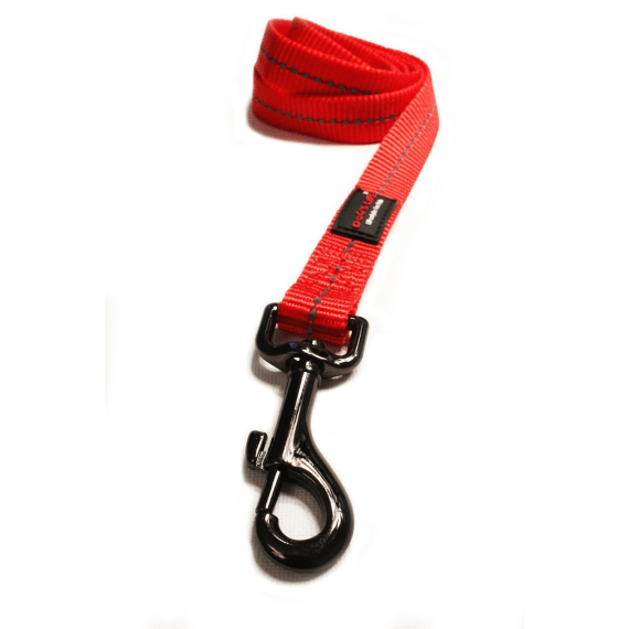 dog s life web leash picture 4