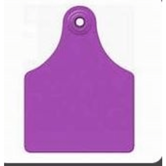 allflex eartag senior m3 f3 purple 100 picture 1