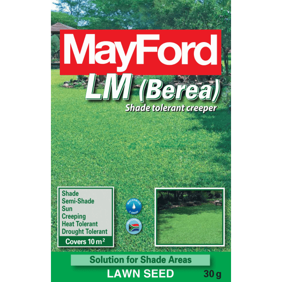 mayford grass lm berea 30g picture 1