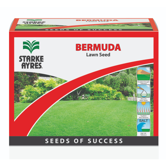 seed grass bermuda 500g picture 1