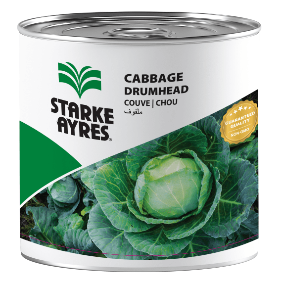 seed cabbage drumhead 500g picture 1