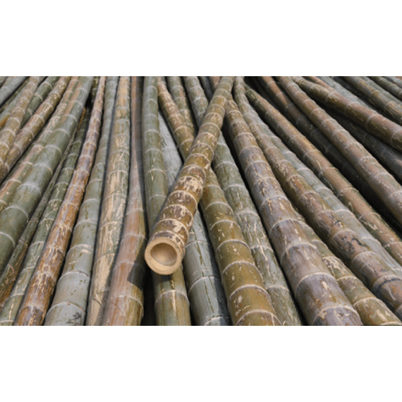 price cane bamboo 200cm 14 16mm cu12 picture 1
