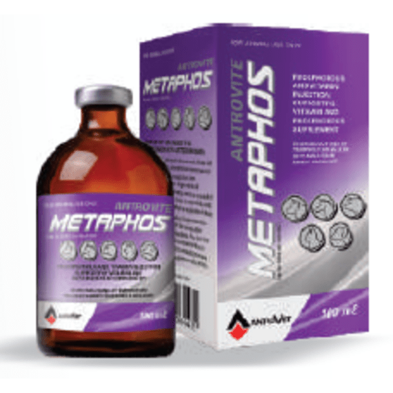 antrovet metaphos 100ml picture 1