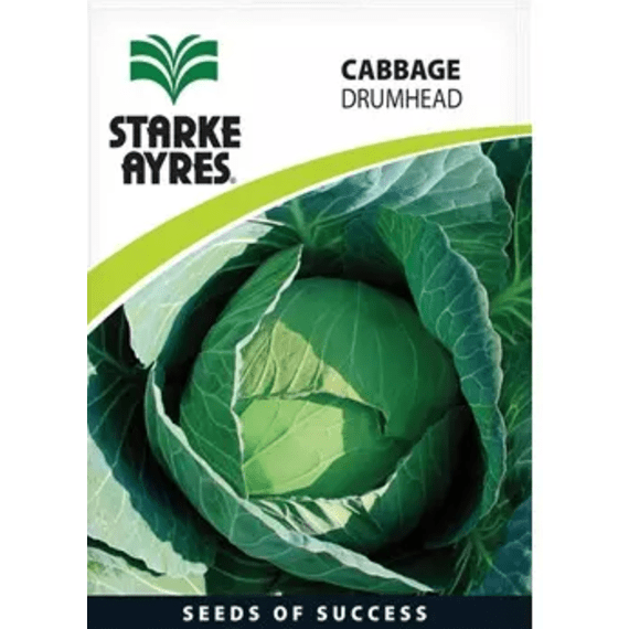 starke ayres seed cabbage drumhead ep picture 1