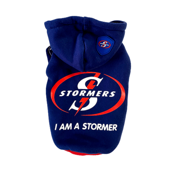 dog s life stormer rugby blue picture 1