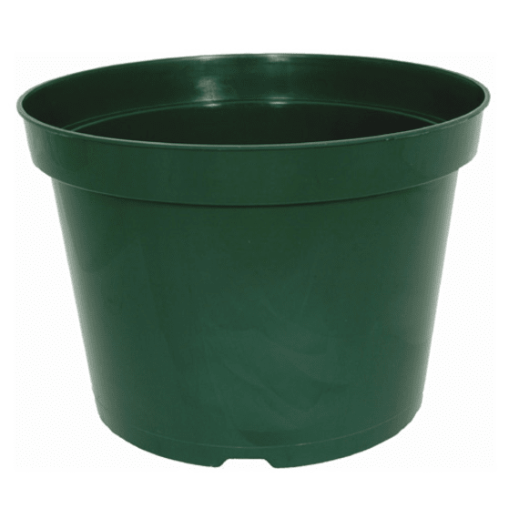 flower pot round green picture 1