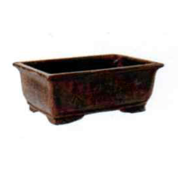 grovida bonsai rectangle pot picture 1