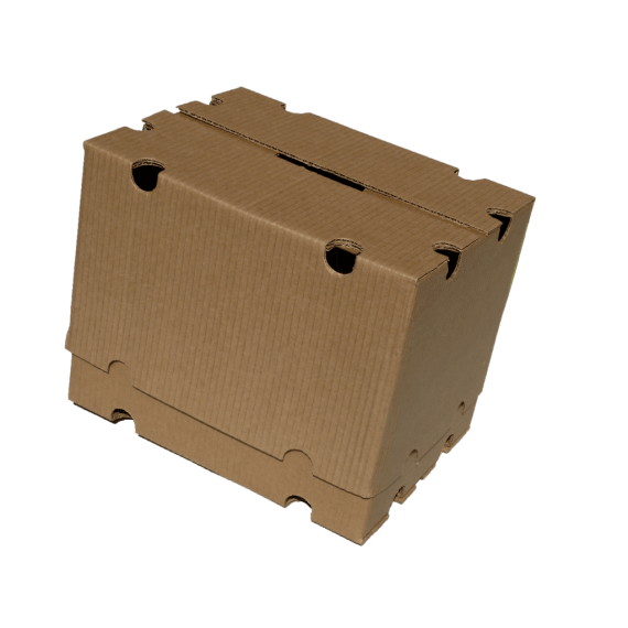 carton apple generic e jumbel outer 30mm 9 10kg 1 picture 1
