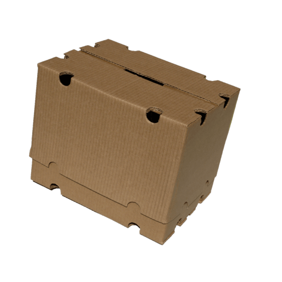 carton apple mk4 generic export 1 picture 1