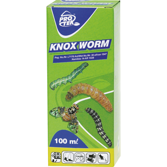 protek knox worm picture 2