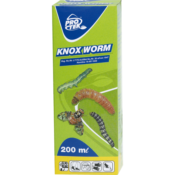 protek knox worm picture 1