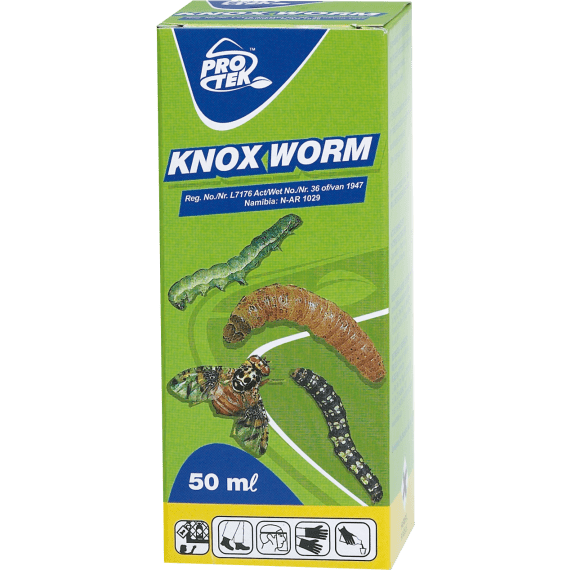 protek knox worm picture 3