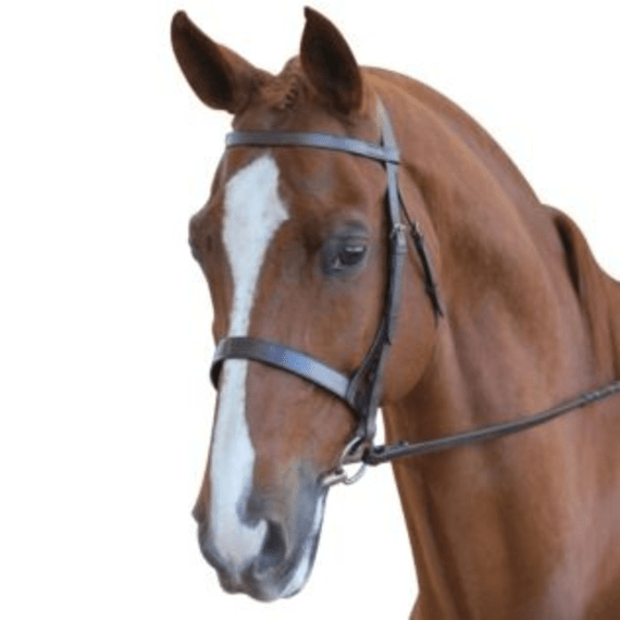 gde bridle with noseband and reins picture 1