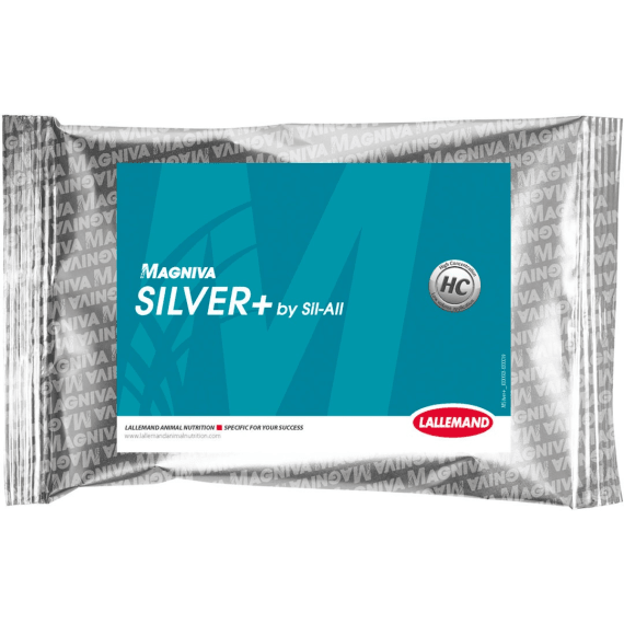 magniva silver 200g picture 1